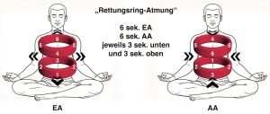 Mehr über den Artikel erfahren Yoga zwischen Prävention und Transformation – ein Weg zu nachhaltiger Gesundheit