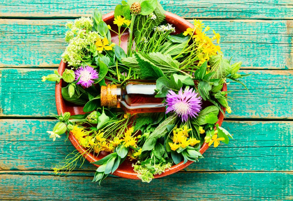 Ayurveda-Heilpflanzen